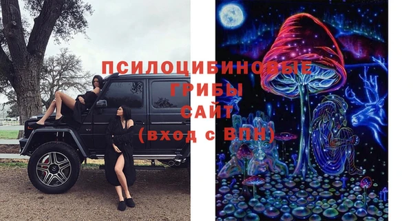 прущие крисы Бородино