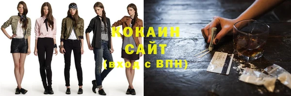 прущие крисы Бородино