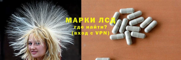 прущие крисы Бородино