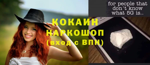 твердый Бронницы