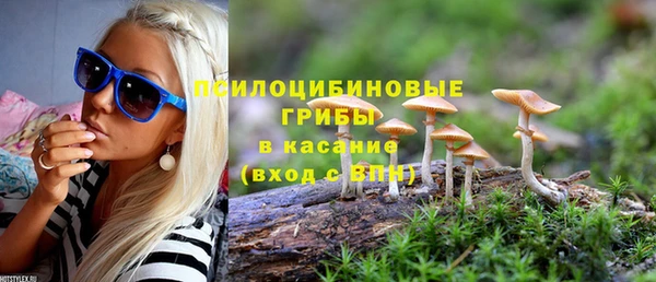 твердый Бронницы