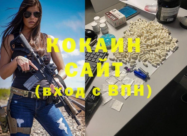 прущие крисы Бородино
