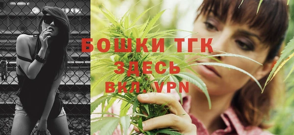 прущие крисы Бородино