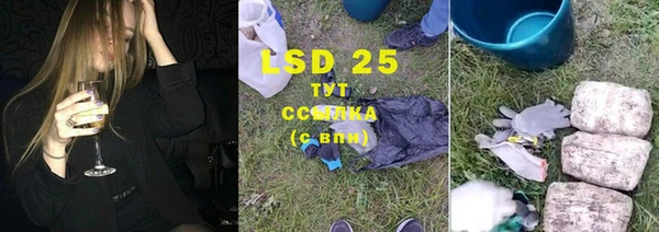 прущие крисы Бородино